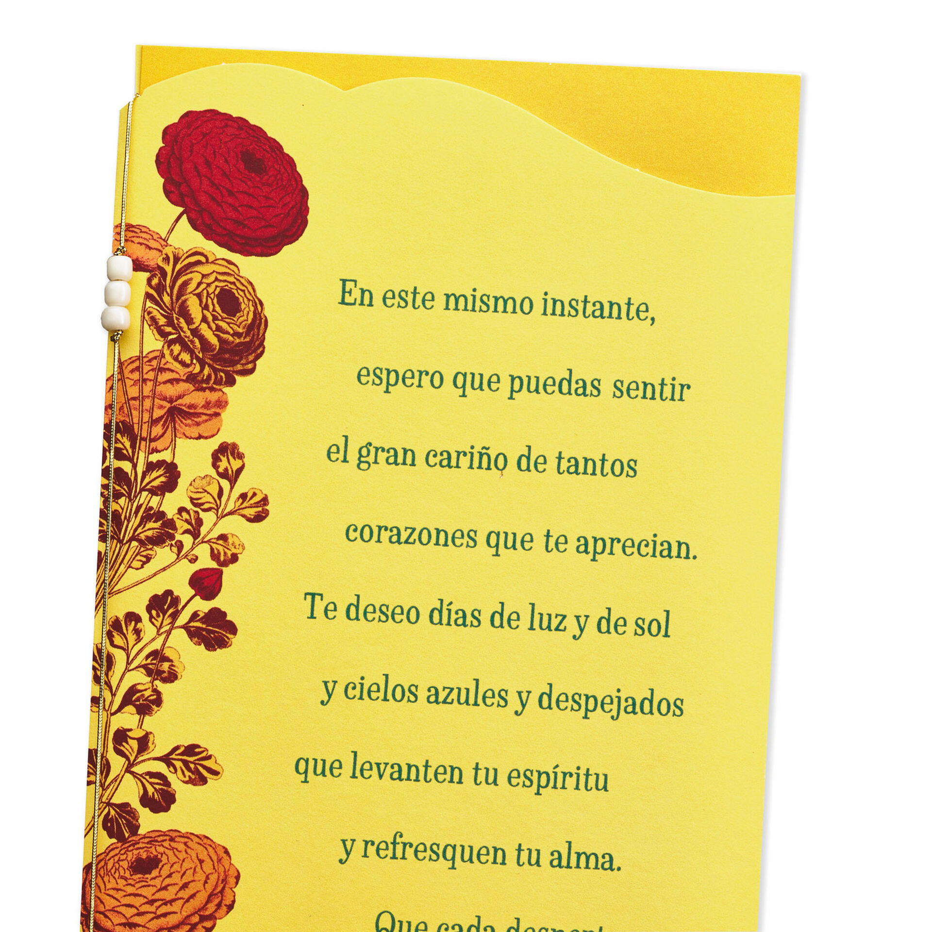 Warmth and Caring SpanishLanguage Encouragement Card Greeting Cards