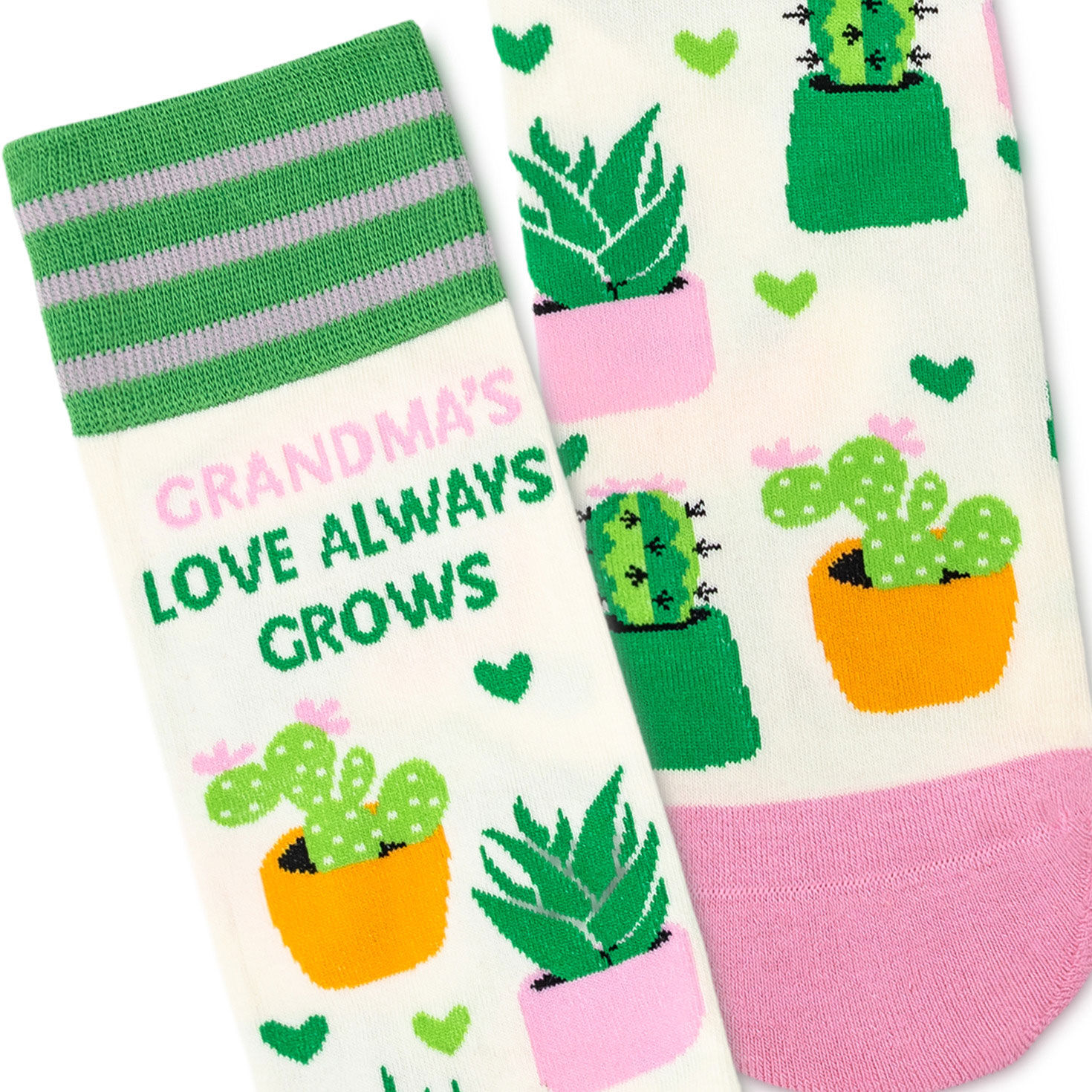 Succulent House Plants Novelty Socks for Grandma upclose view image number 3