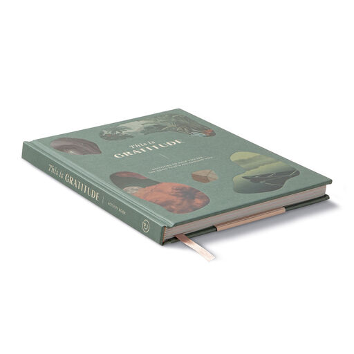 Compendium This Is Gratitude Guided Journal, 
