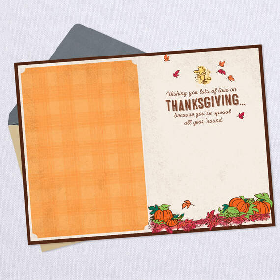 Peanuts® Snoopy and Woodstock Cornucopia Thanksgiving Card, , large image number 3