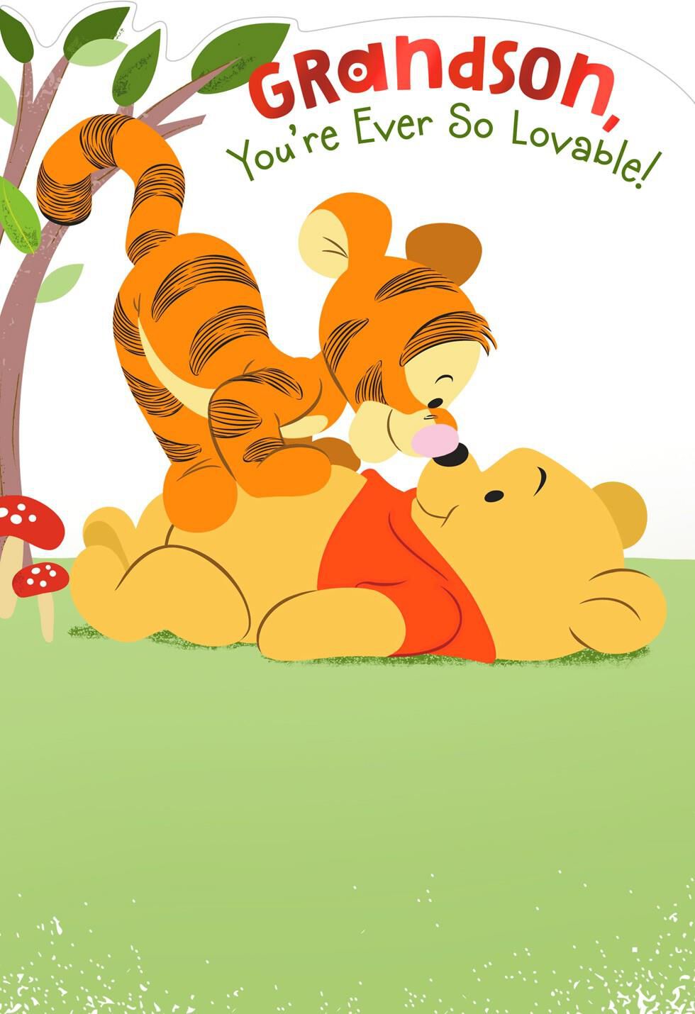 Winnie the Pooh Birthday Card for Grandson