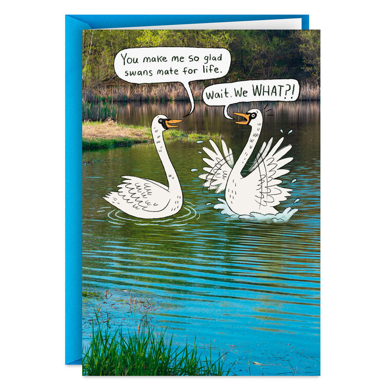 Mate for Life, Swans Funny Anniversary Card for Spouse