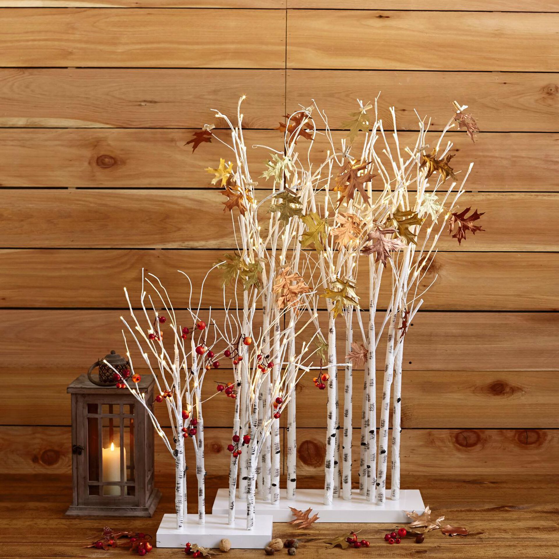 Birch Tree Branches Lighted Decor, 47&quot; - Seasonal Decor - Hallmark