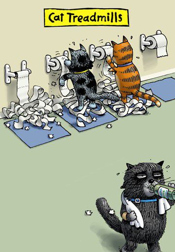 Cat Treadmills Funny Blank Card
