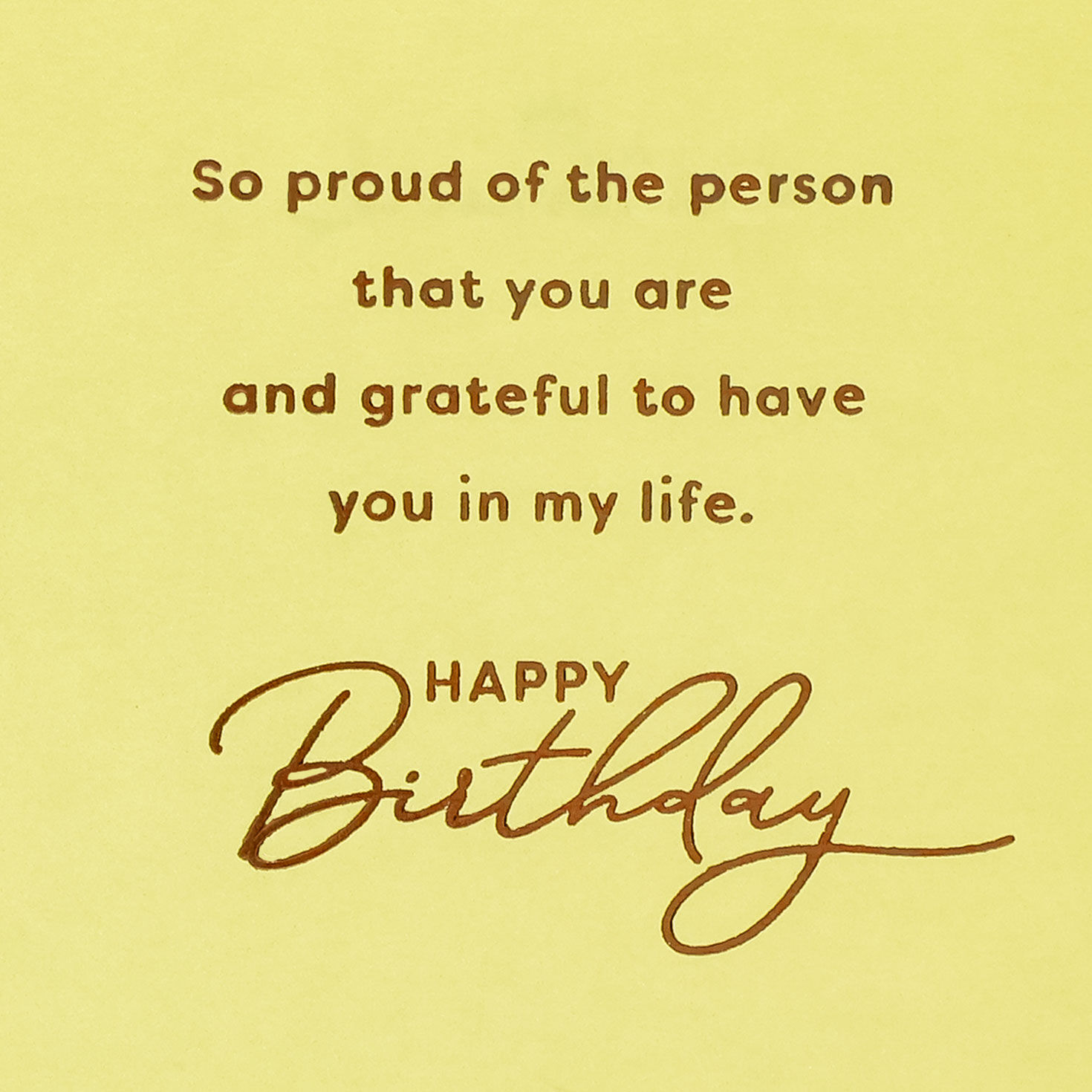 Sunny Mountain Landscape Godson Birthday Card Sentiment image number 2