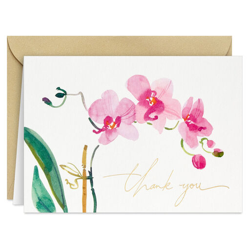 Pink Orchids Boxed Blank Thank-You Notes, Pack of 20, 