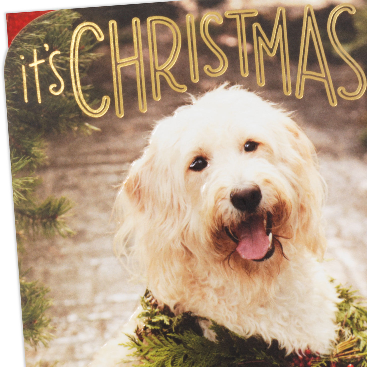Dog With Wreath Around Neck Christmas Card Card Front Detail image number 4