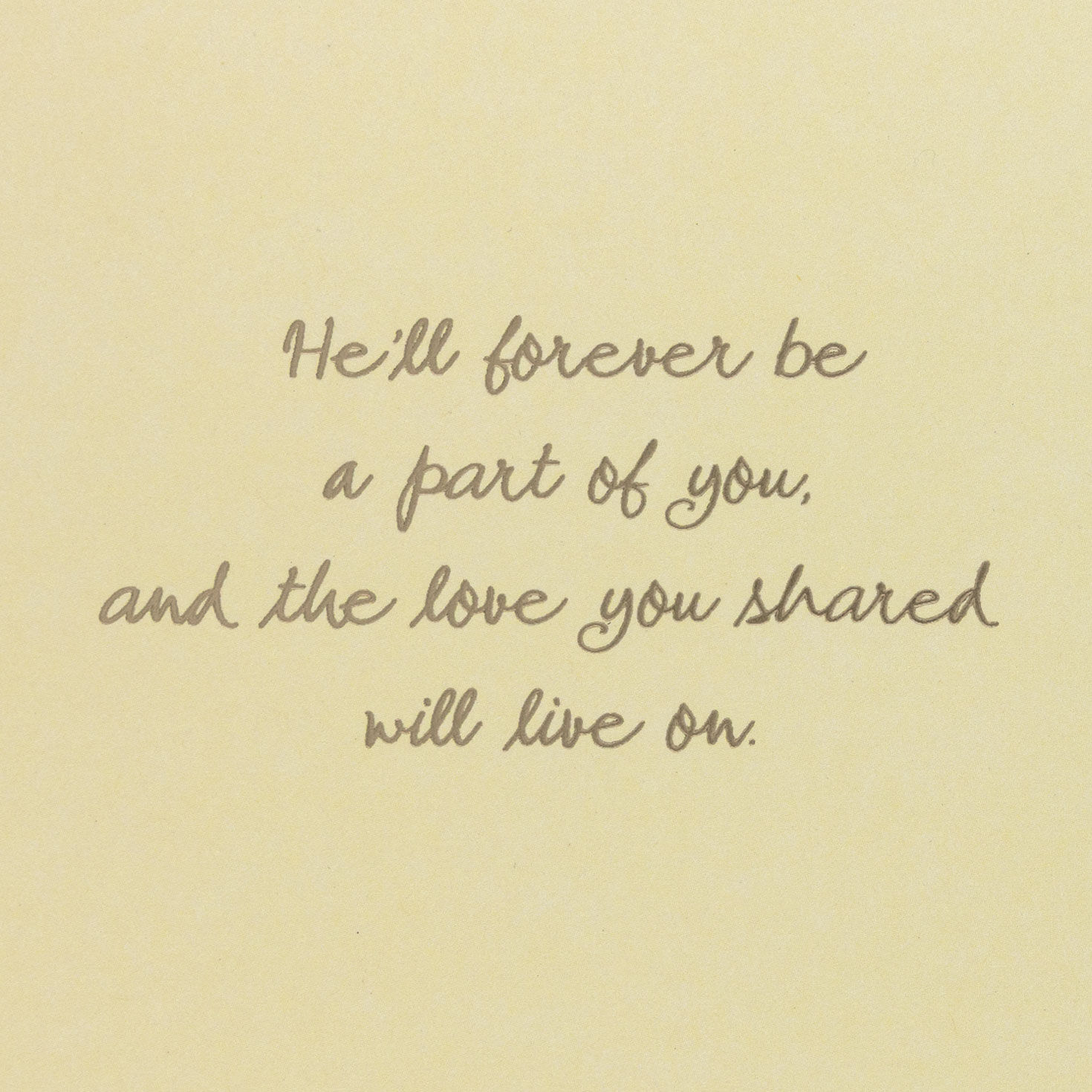 Bird on Branch Husband Sympathy Card Sentiment image number 2