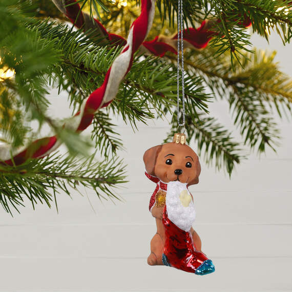 Adorable Dachshund Blown Glass Ornament, , large image number 2