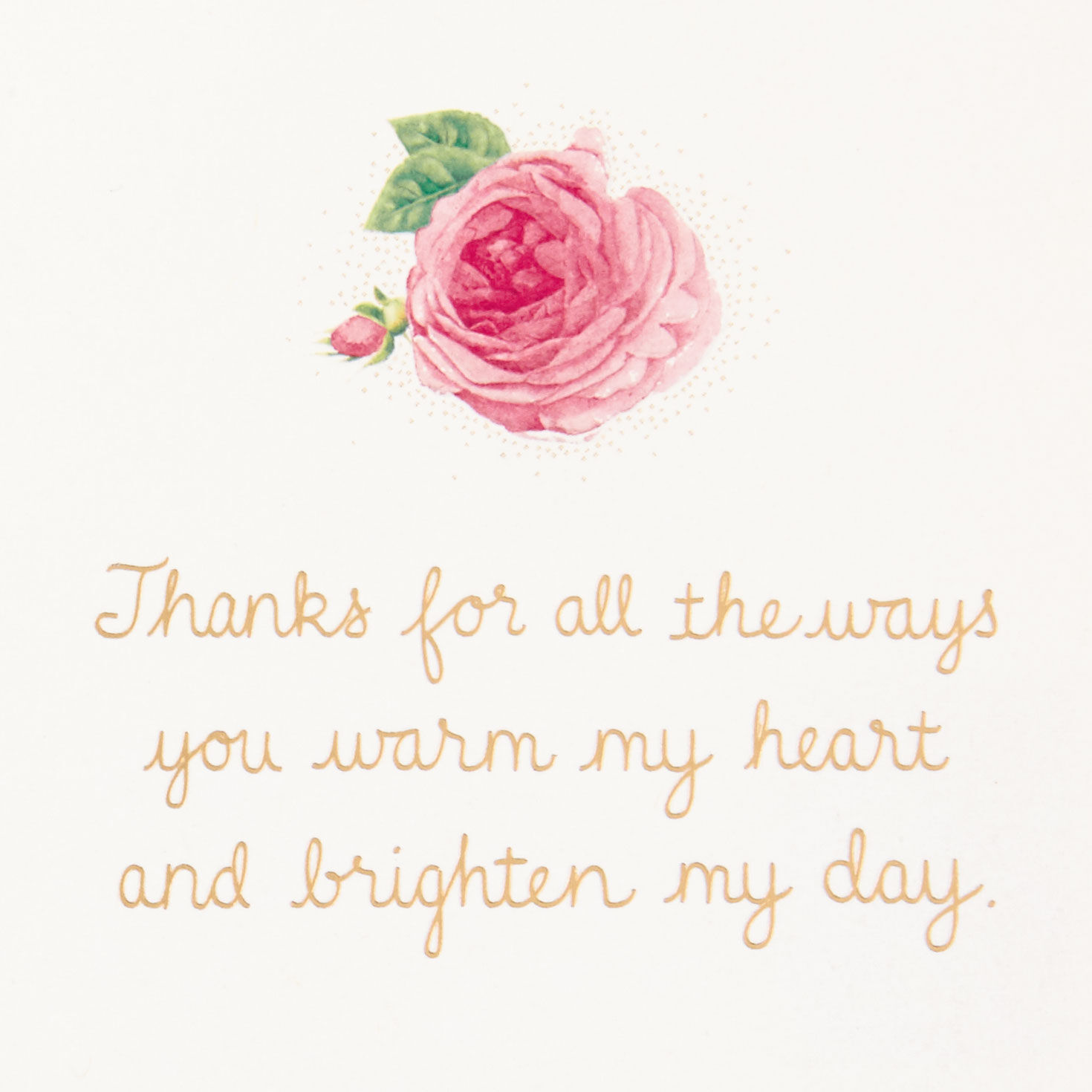 Marjolein Bastin Like Sunshine Friendship Card for only USD 4.99 | Hallmark