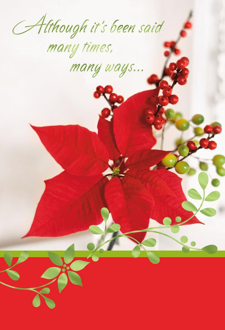 poinsettias holiday thank you cards pack of 6 boxed cards hallmark holiday thank you cards