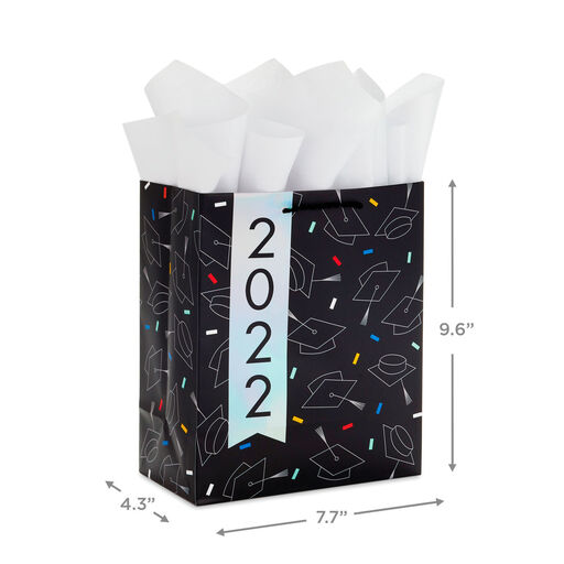 9.6" Assorted 3-Pack Medium 2022 Graduation Gift Bags With Tissue, 