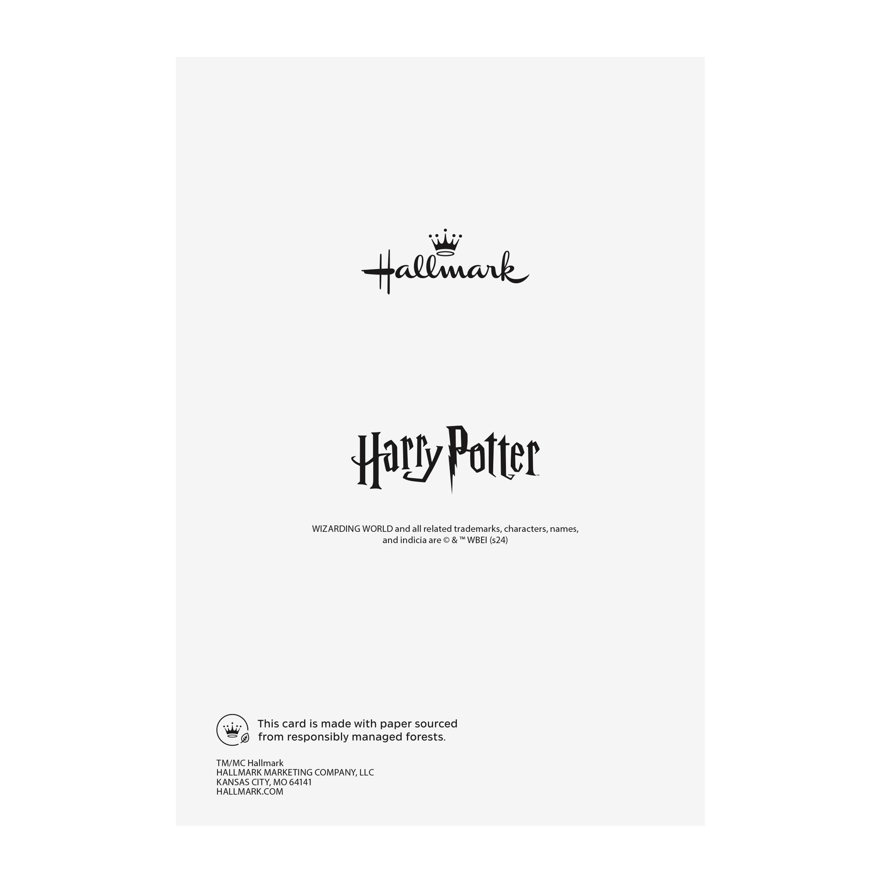 Harry Potter&trade; You're a Catch Love Card, , large image number 3