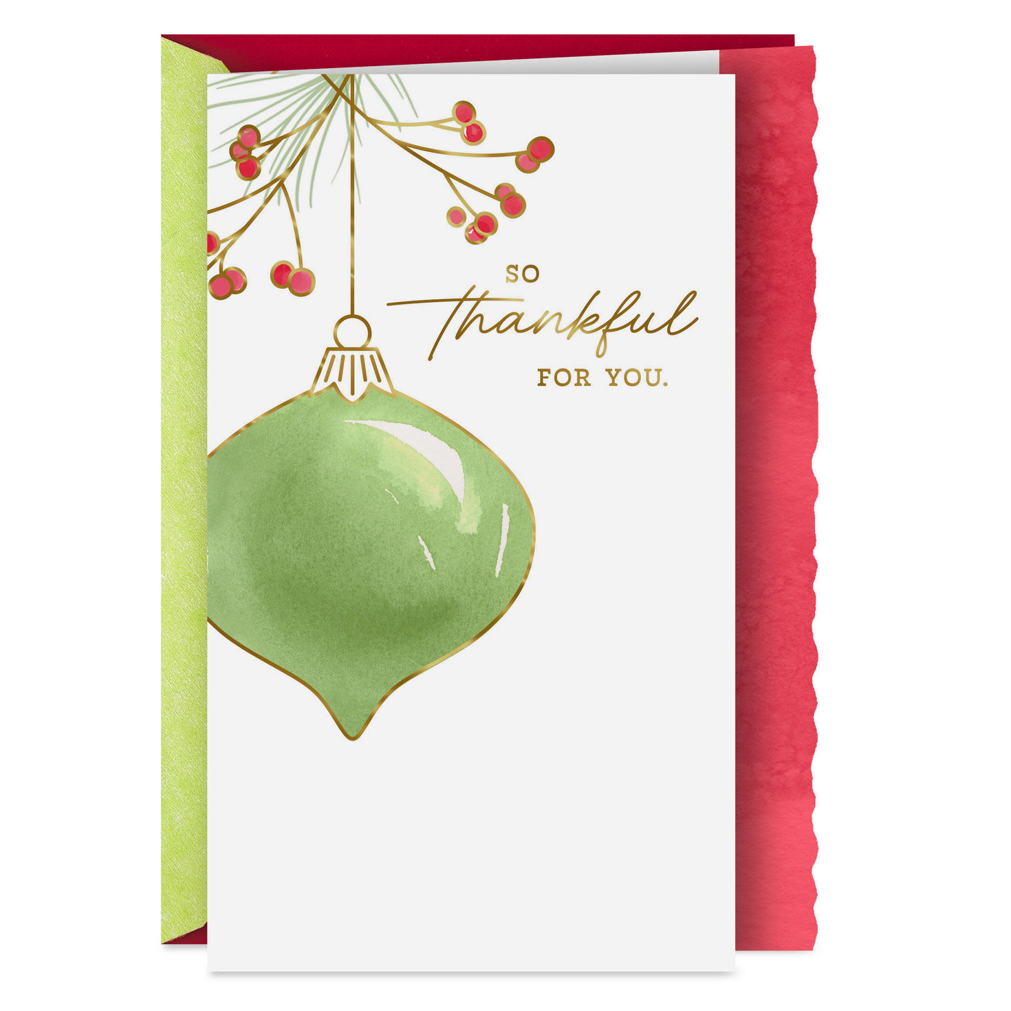 So Thankful for Your Time, Effort and Care Christmas Card for Caregiver