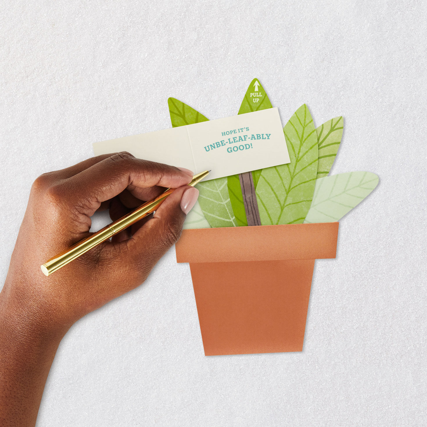 Pull-up Paper Craft Green Potted Plant Birthday Card Signing card image number 6