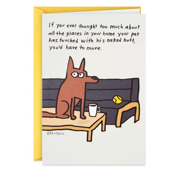 Where the Dog Sits Funny Birthday Card