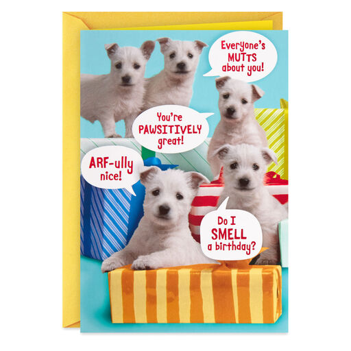 You're Top Dog Today Funny Birthday Card, 