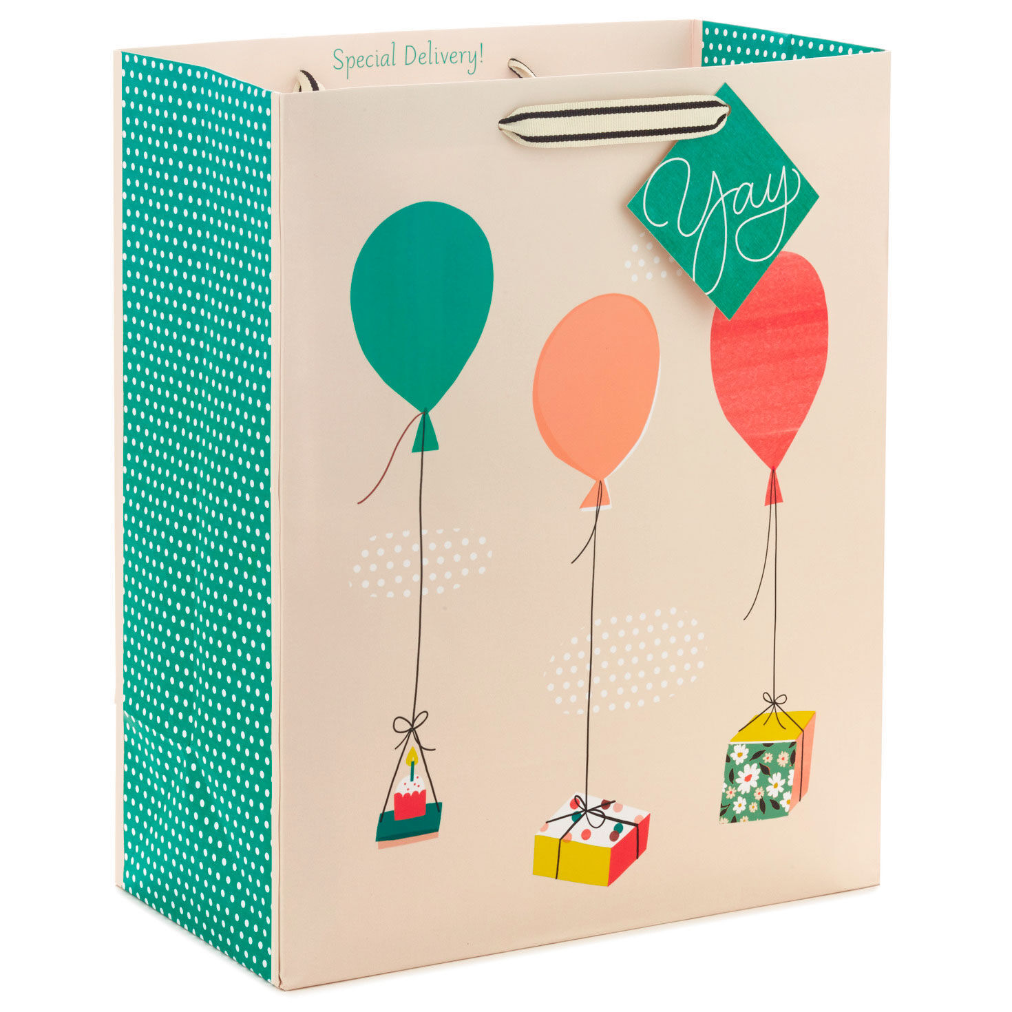 Hallmark Small Gift Bag with Tissue Paper for Birthdays Happy Cake Day No.  55