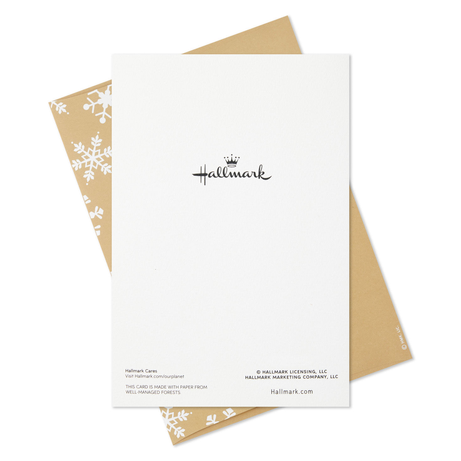 Evergreen Branches Greatest Gifts Boxed Christmas Cards, Pack of 12, , large image number 7