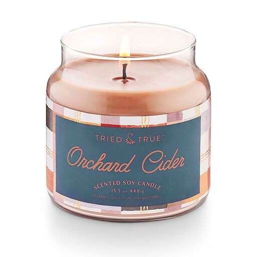 Illume Tried & True Orchard Cider Large Jar Candle, 15.5 oz., 