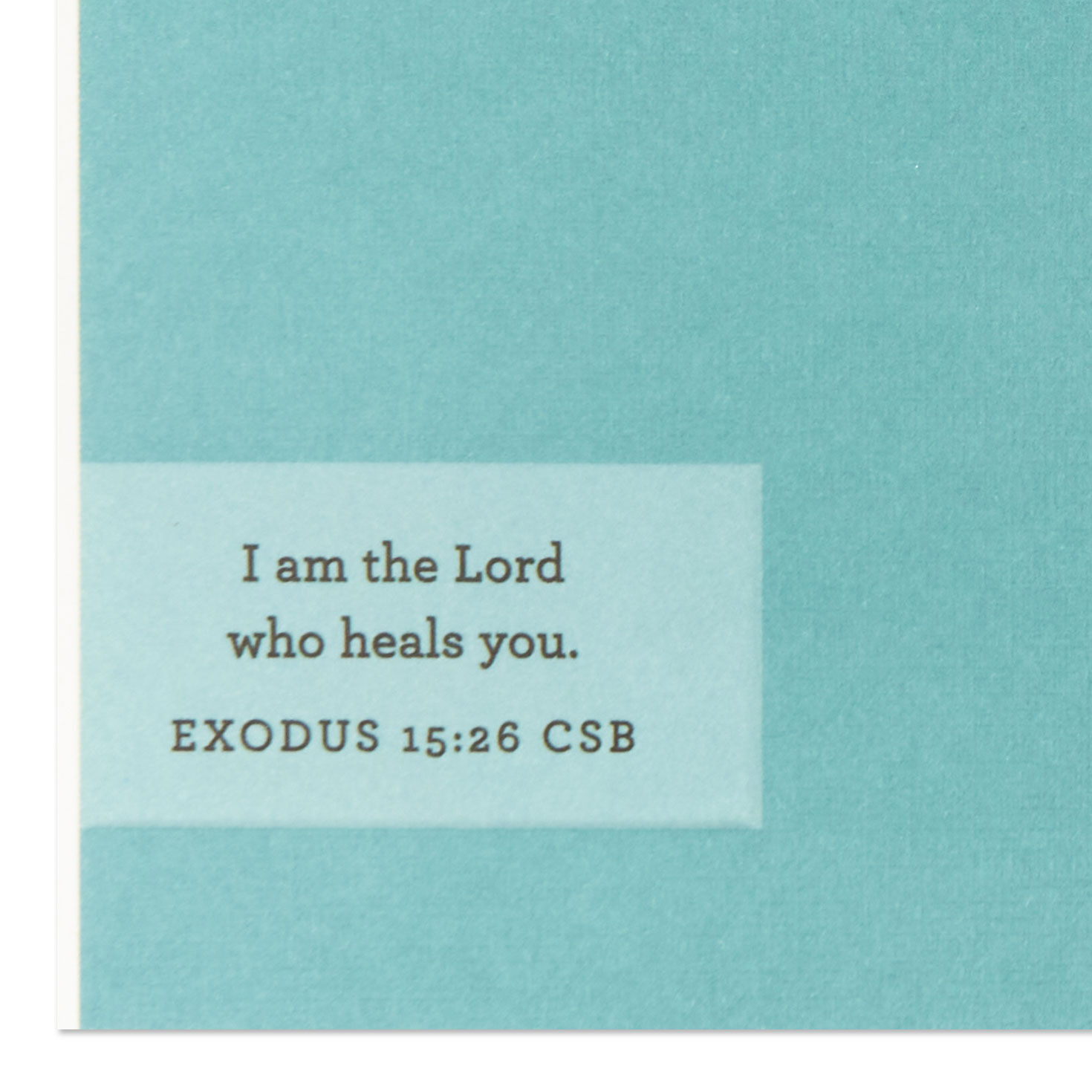 Sunshine in Tree Leaves Religious Get Well Card scripture image number 3