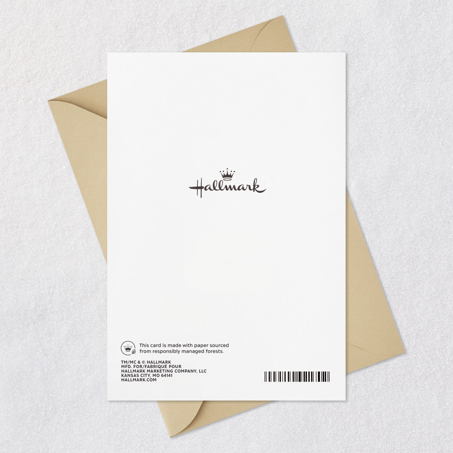 Botanical Gold and Blue Father's Day Card for Son Card Back with Envelope image number 7