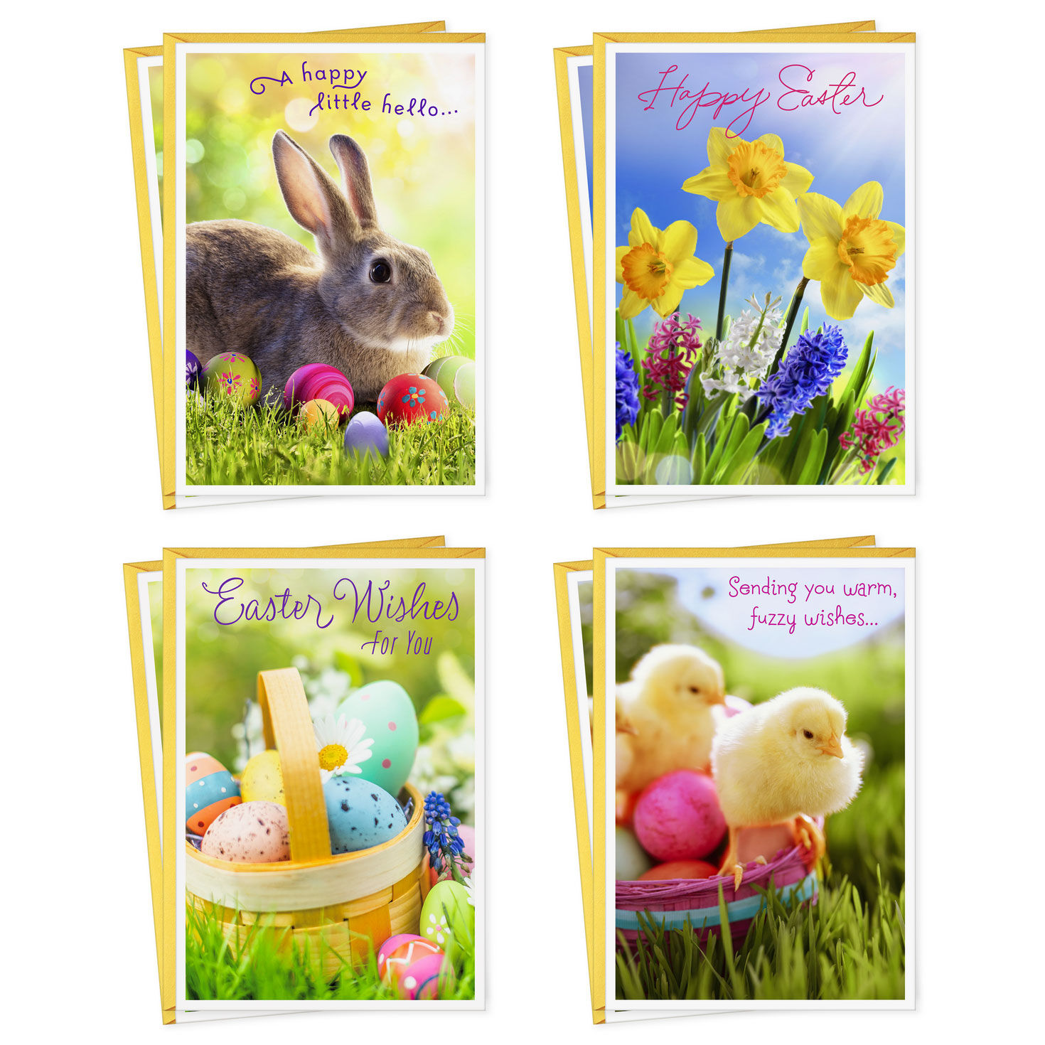 Sending Warm Wishes Assorted Easter Cards, Pack of 8