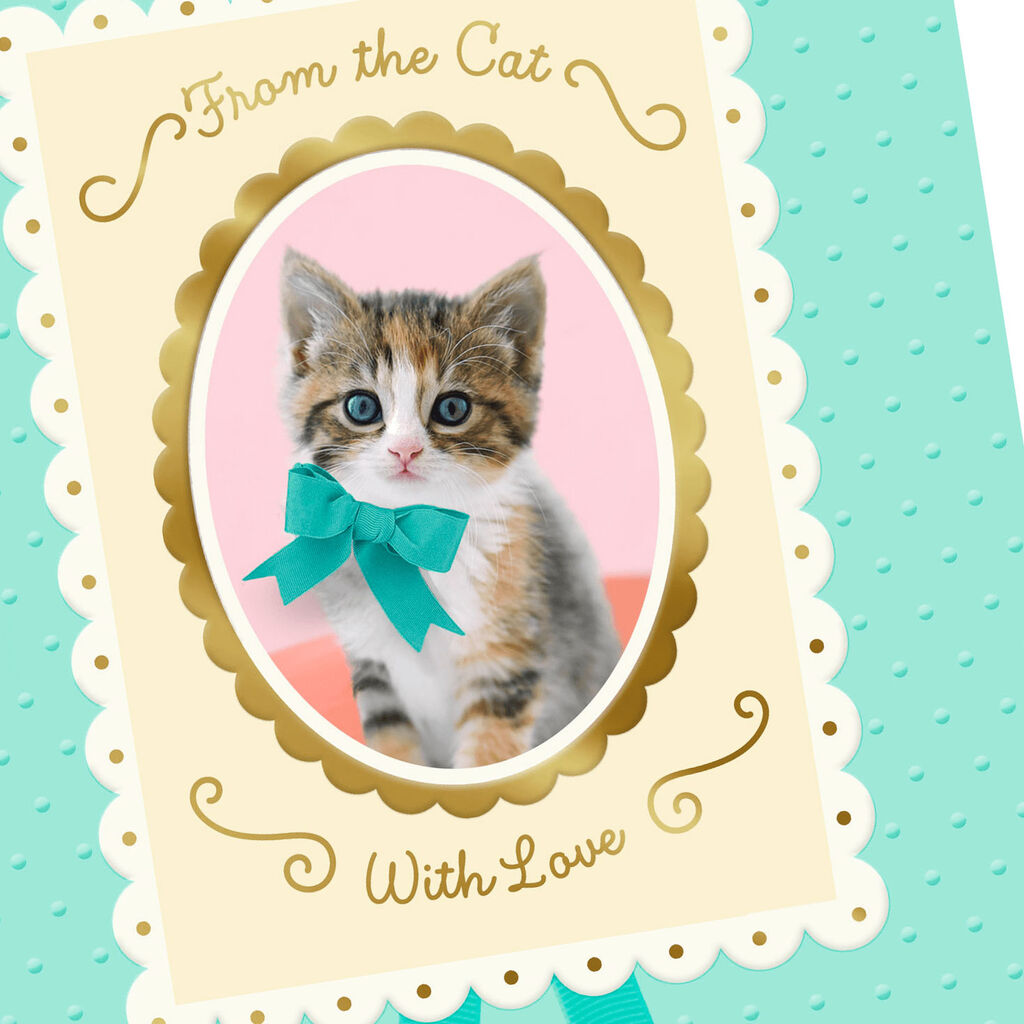 Mother S Day Card From The Cat Greeting Cards Hallmark
