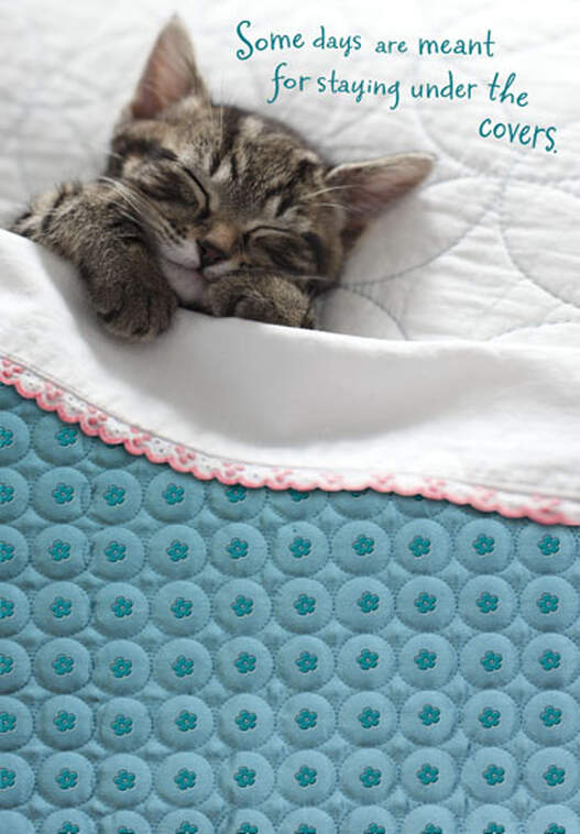 Snuggle Kitty Get Well Card, , large image number 1