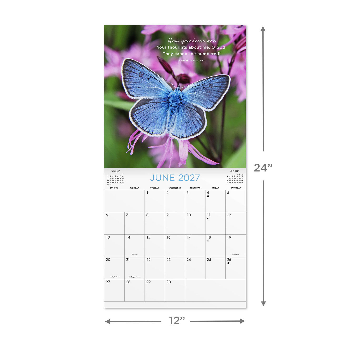 Psalms 2027 12-Month Desk Calendar measurement image number 4
