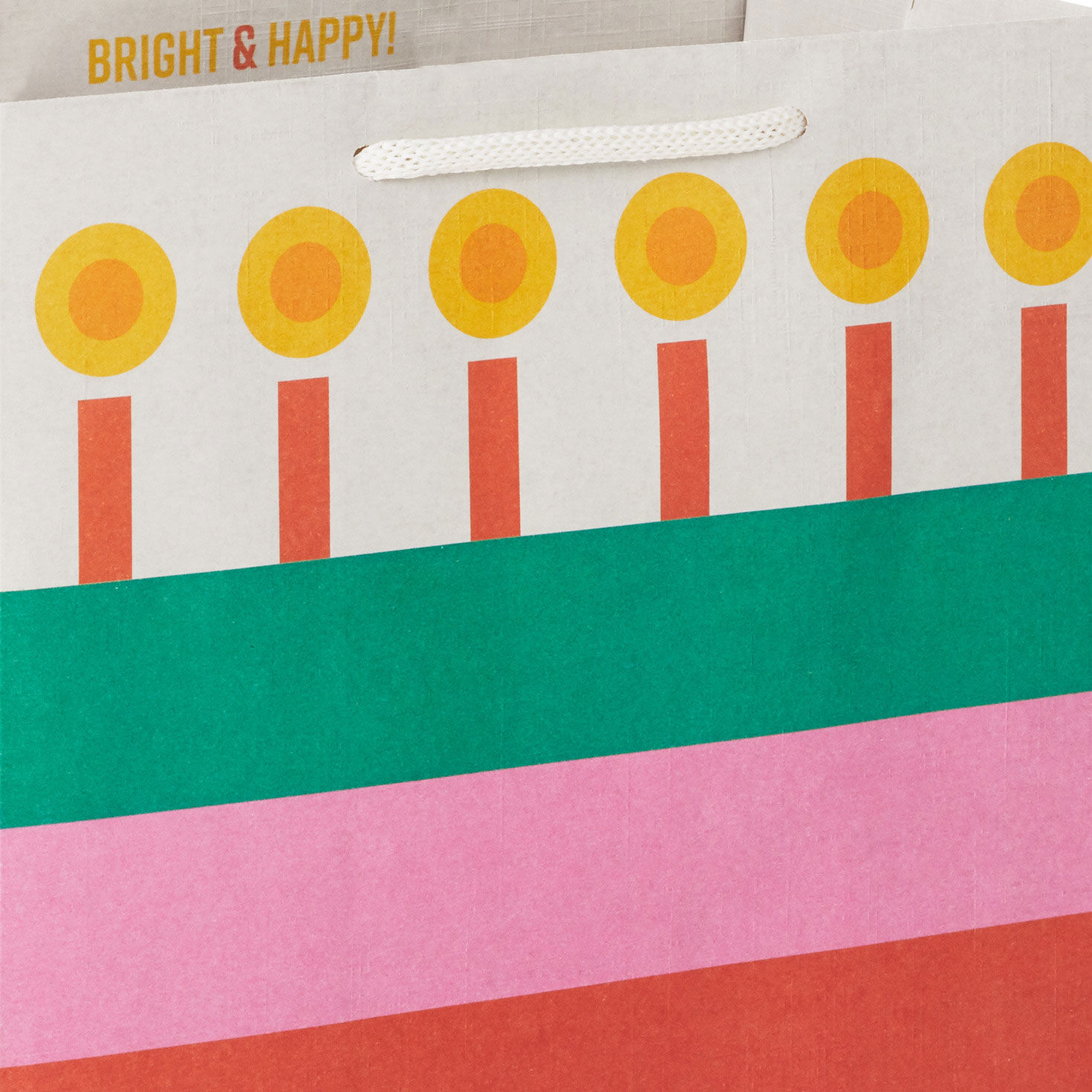 Layer Cake Colorful Medium Gift Bag Handle Detail image number 4