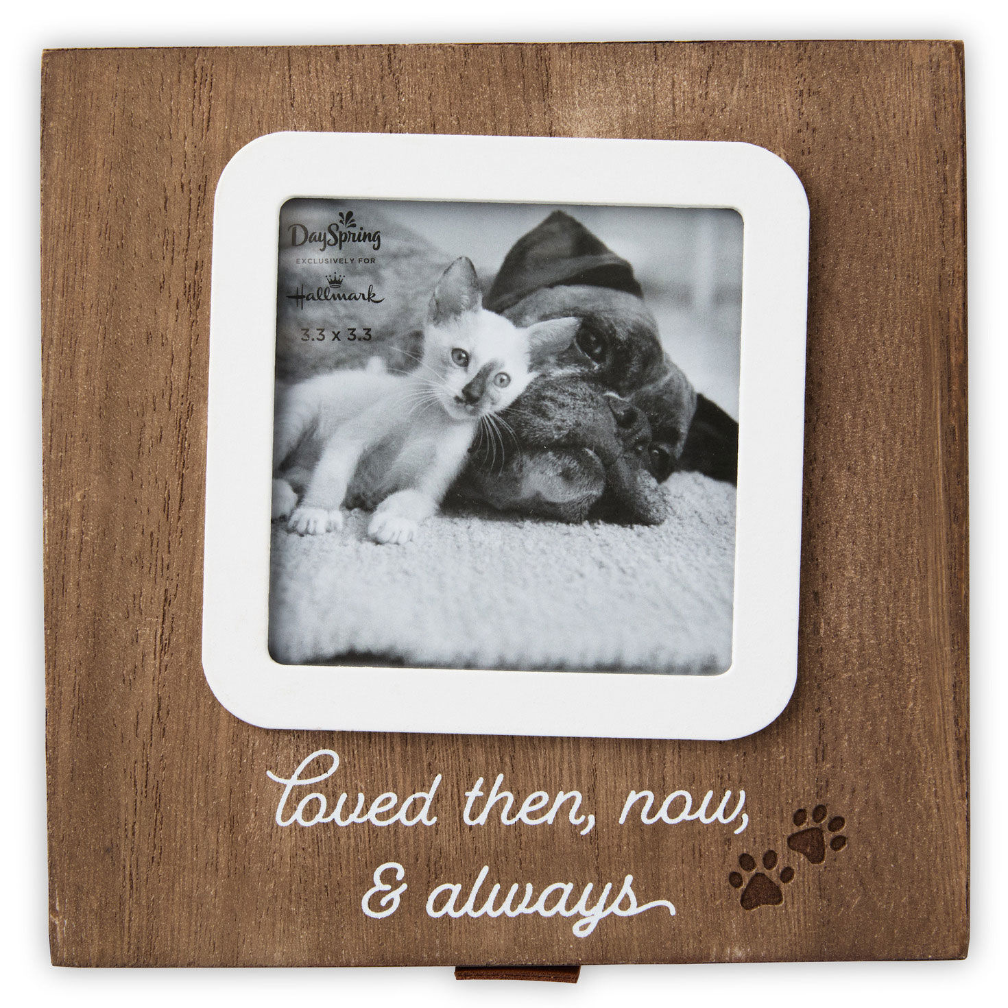 Then, Now and Always Pet Memory Box top image number 4