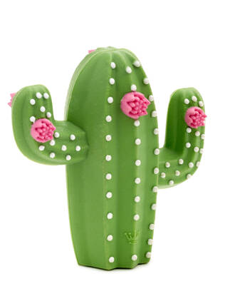 Charmers Cactus Silicone Charm