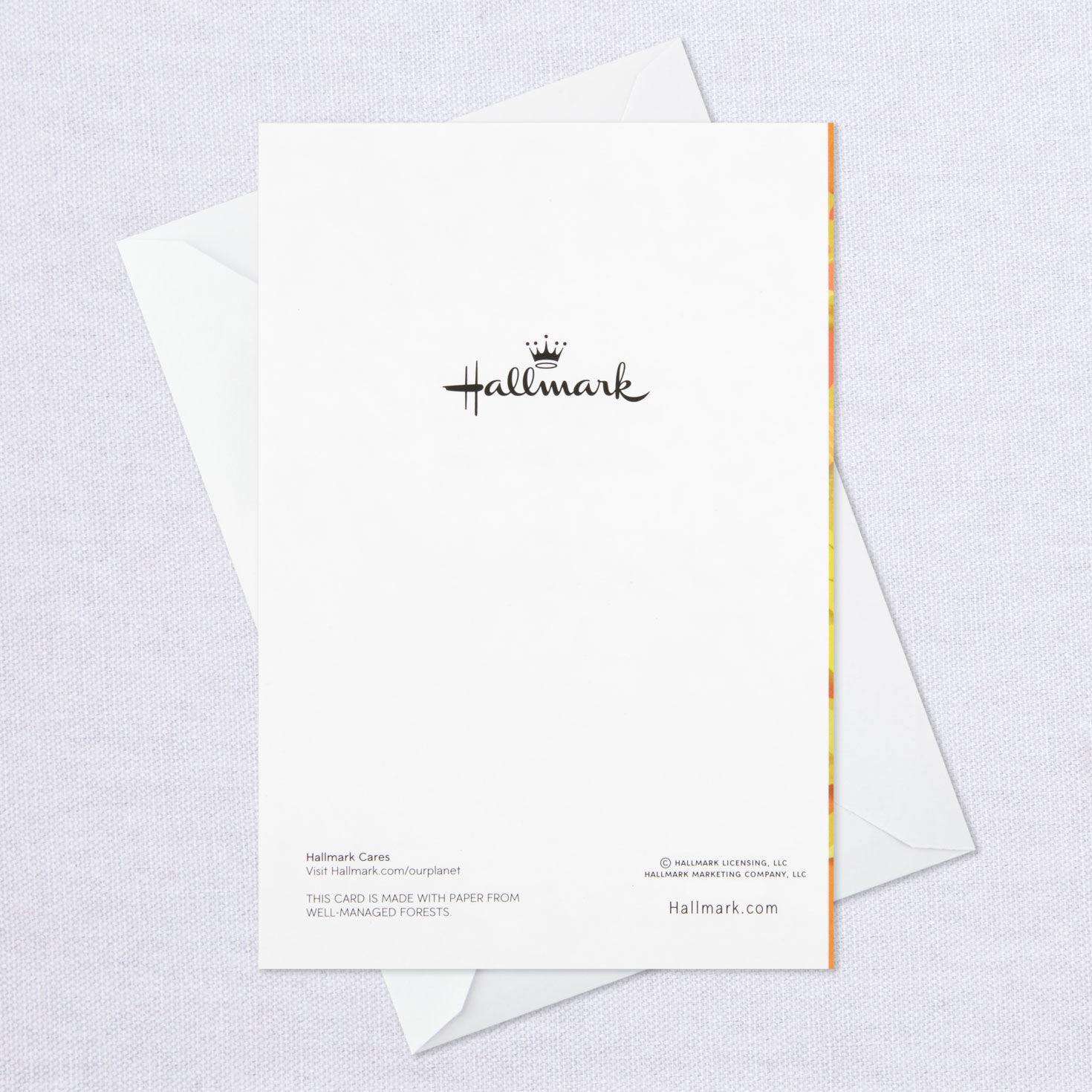 Fall Leaves Wreath Thanksgiving Cards, Pack of 6, , large image number 5