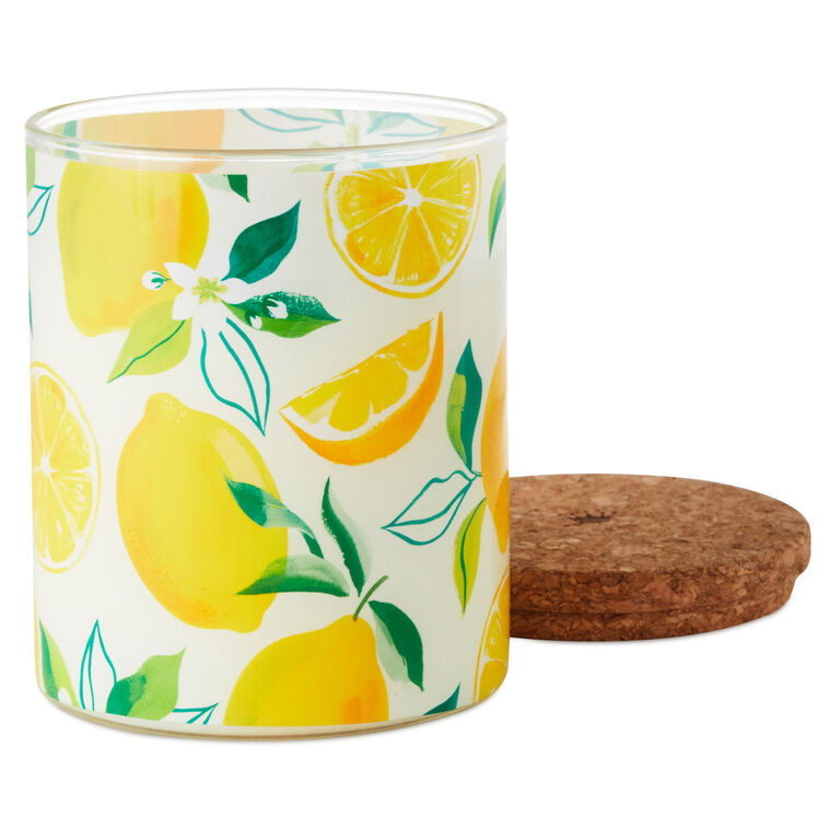 Meyer Lemon and Lemon Zest Scented 2-Wick Jar Candle, 14.5 oz., , large image number 3