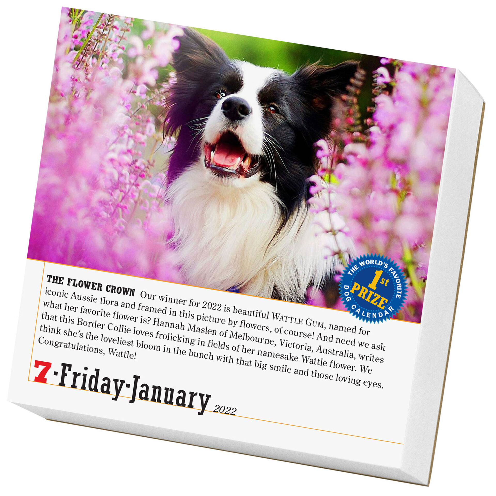 365 Dogs Page A Day Calendar 2022 Calendars Planners Hallmark 365 Dogs Page A Day Calendar 2022 Calendars Planners Hallmark