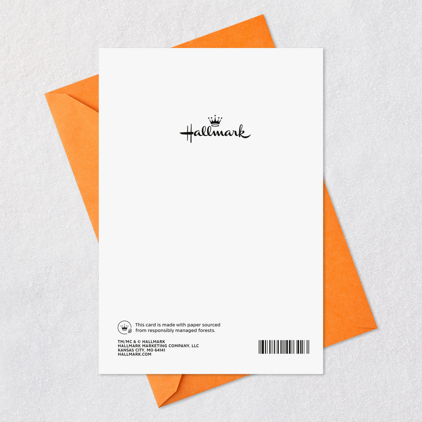 Top Secret Folder Funny Birthday Card, , large image number 7