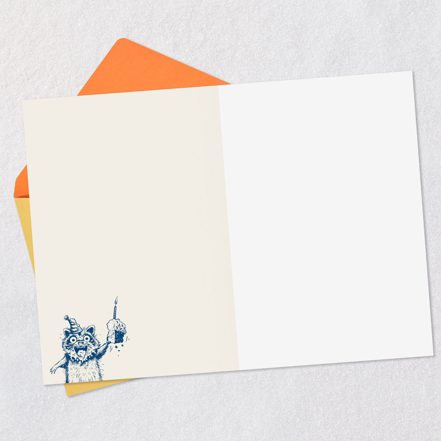 Enthusiastic Raccoon Funny Blank Birthday Card Sentiment image number 2