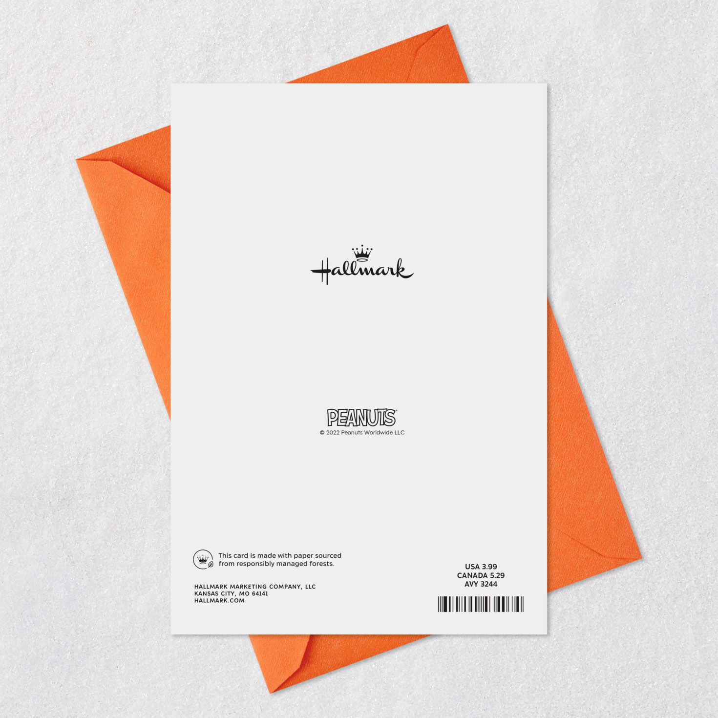 Charlie Brown, Snoopy and Woodstock Peanuts Anniversary Card  image number 9