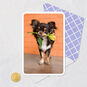 Chihuahua Dog With Flower Blank Card Card Front with Envelope and Gold Seal image number 4