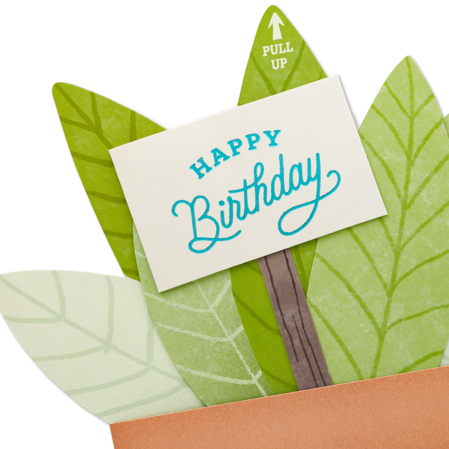 Pull-up Paper Craft Green Potted Plant Birthday Card Card Front Detail image number 4