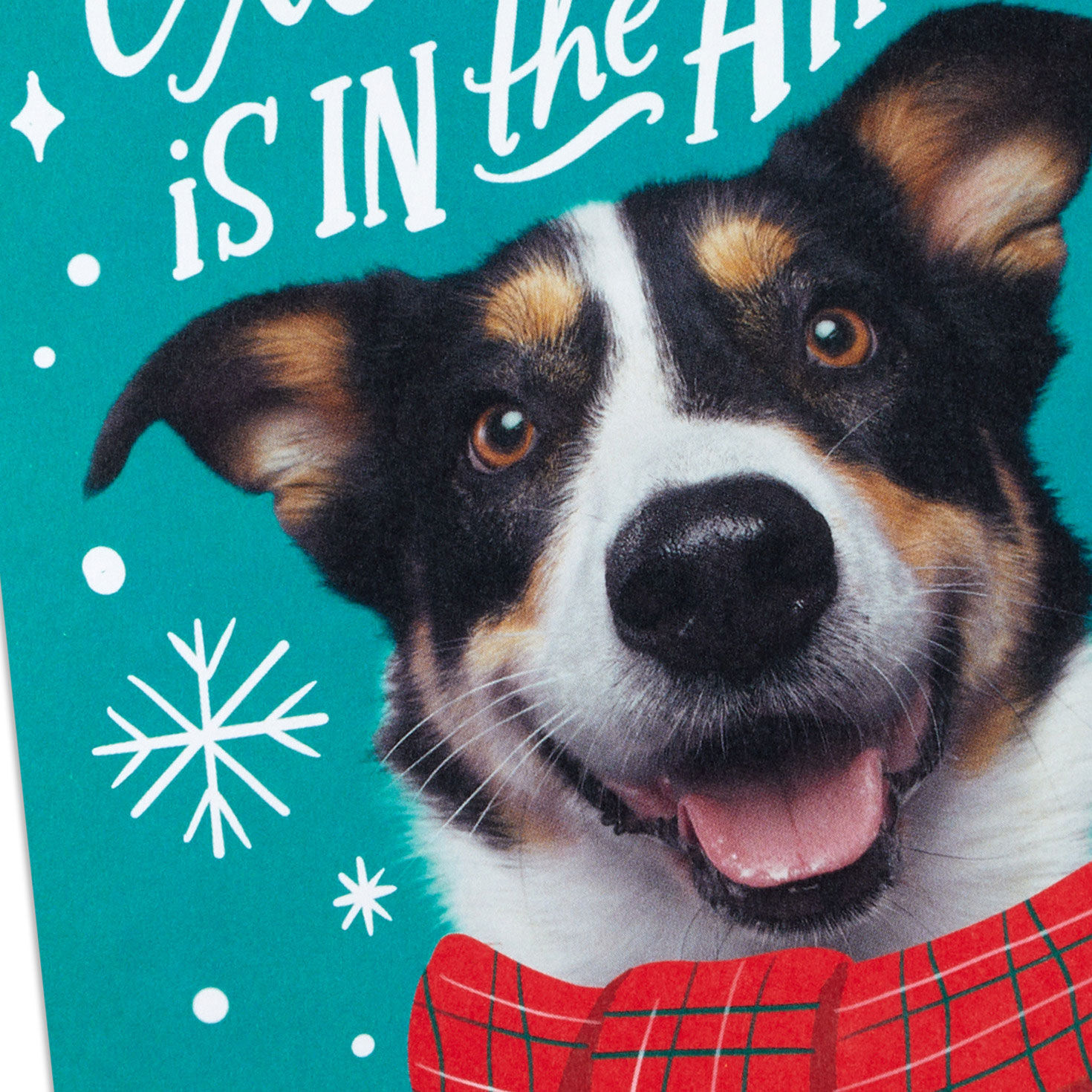 Christmas Excitement Boxed Christmas Cards, Pack of 16, , large image number 5