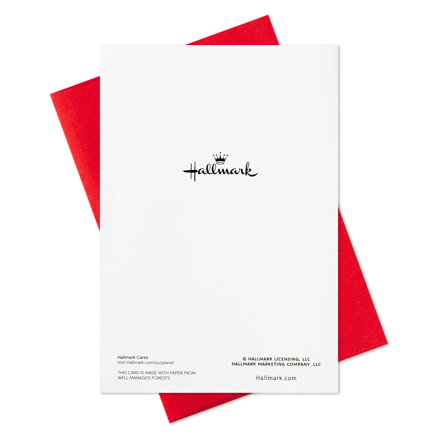 Chicago Skyline in Snow Globe Boxed Christmas Cards, Pack of 16, , large image number 7