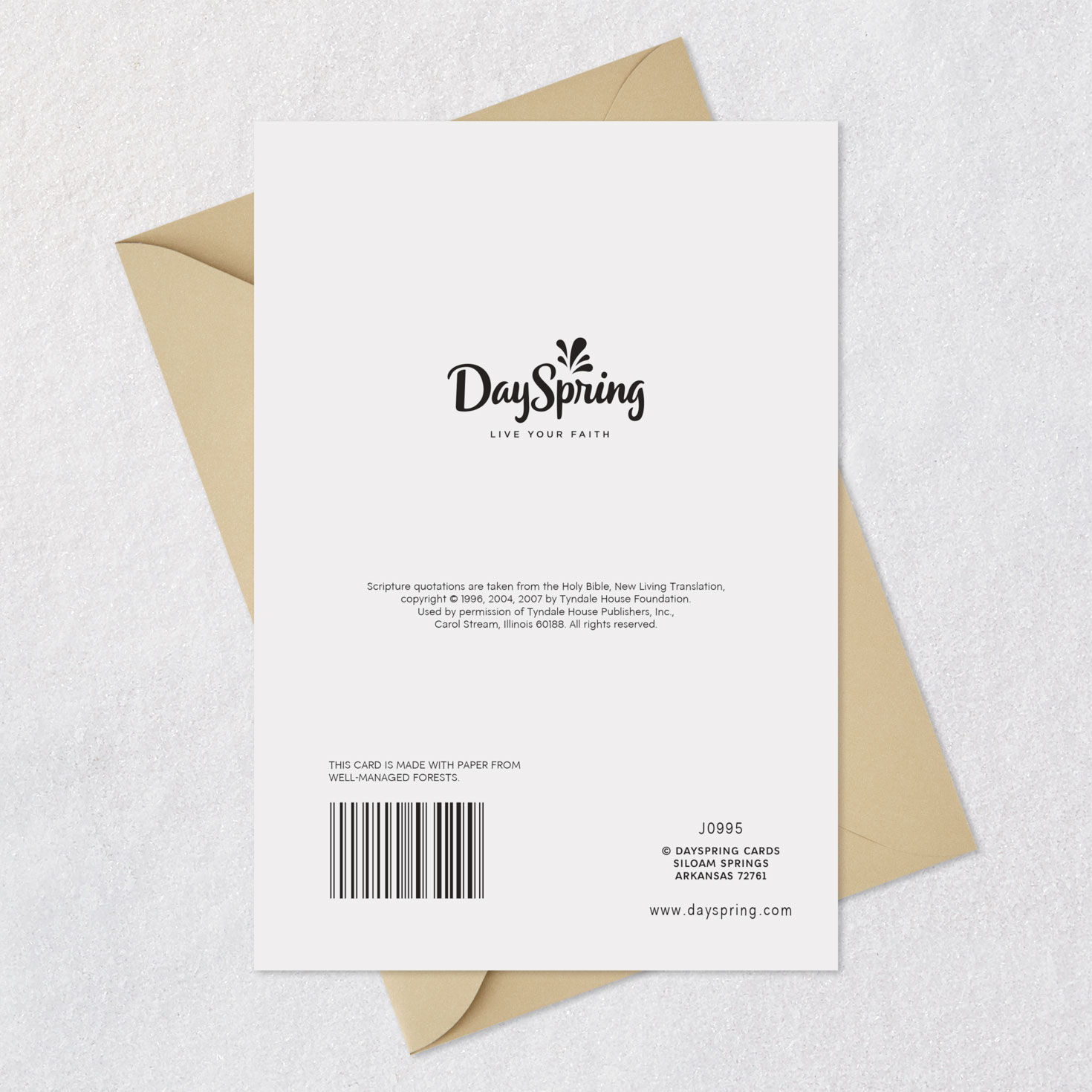 Birds on Branch Religious Clergy Appreciation Card Both Card Back with Envelope image number 8