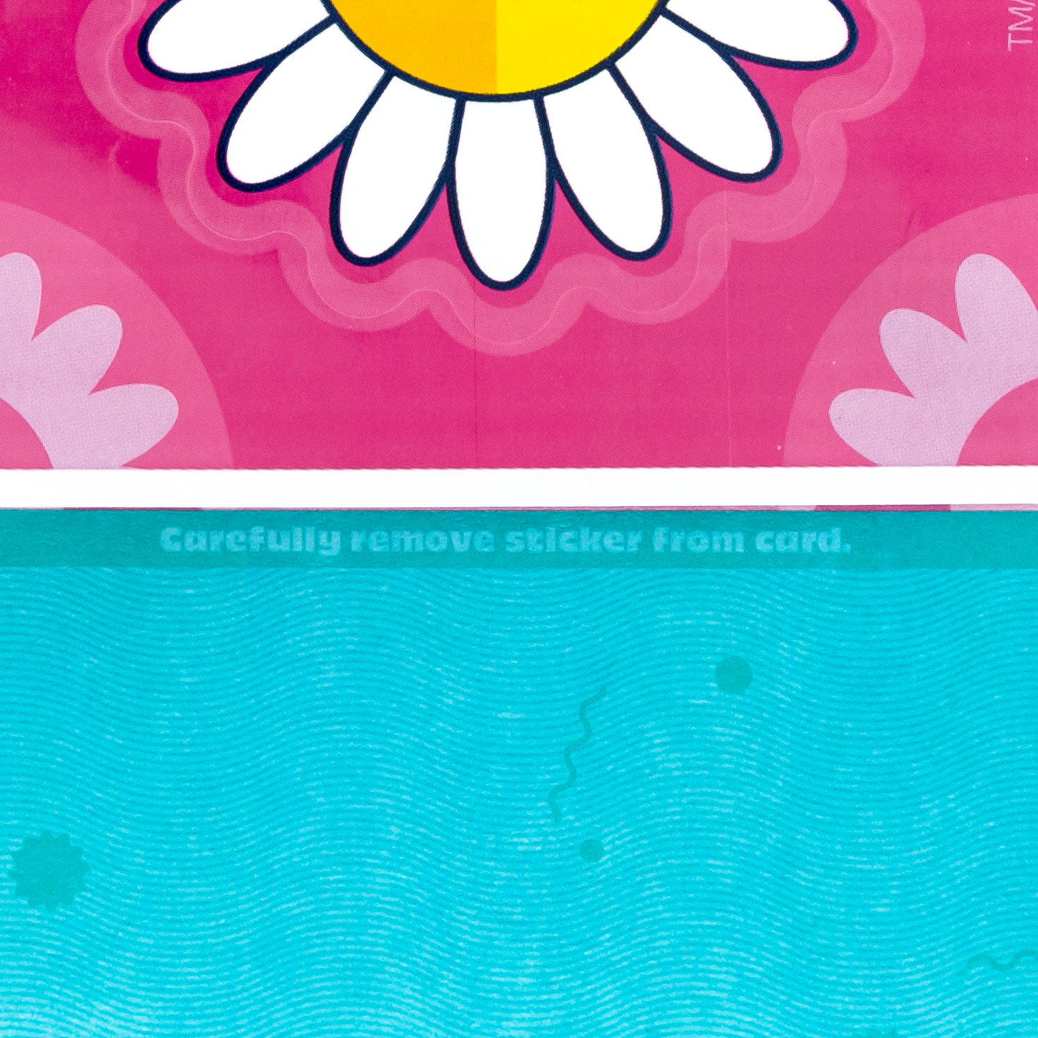 Granddaughter Birthday Card With Daisy Flower Decal Sentiment image number 3
