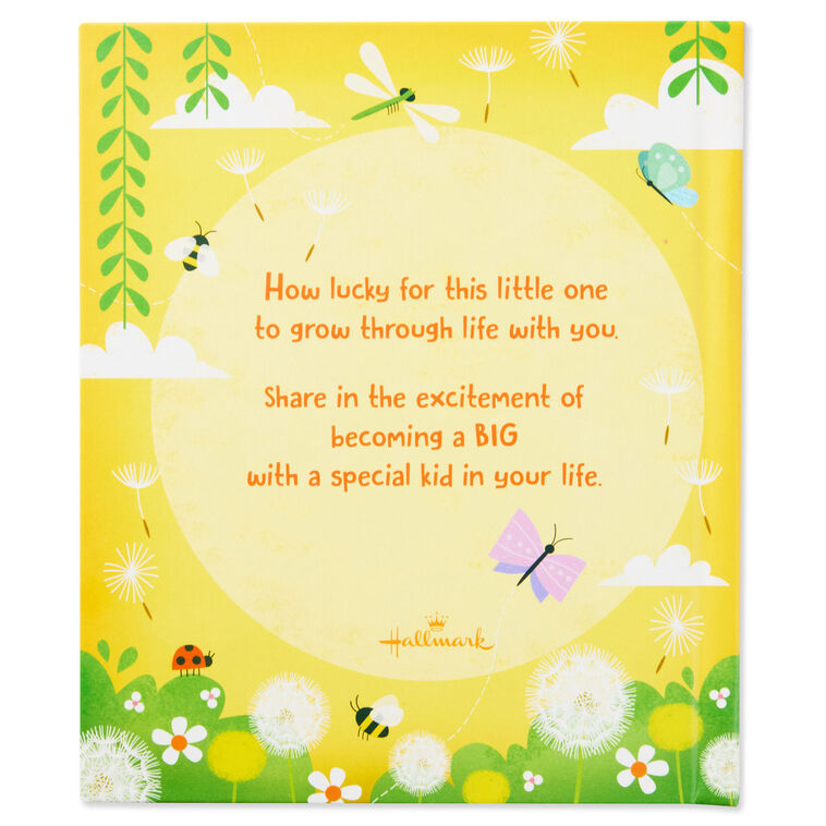 Big Brother/Big Sister Recordable Storybook Back image number 2