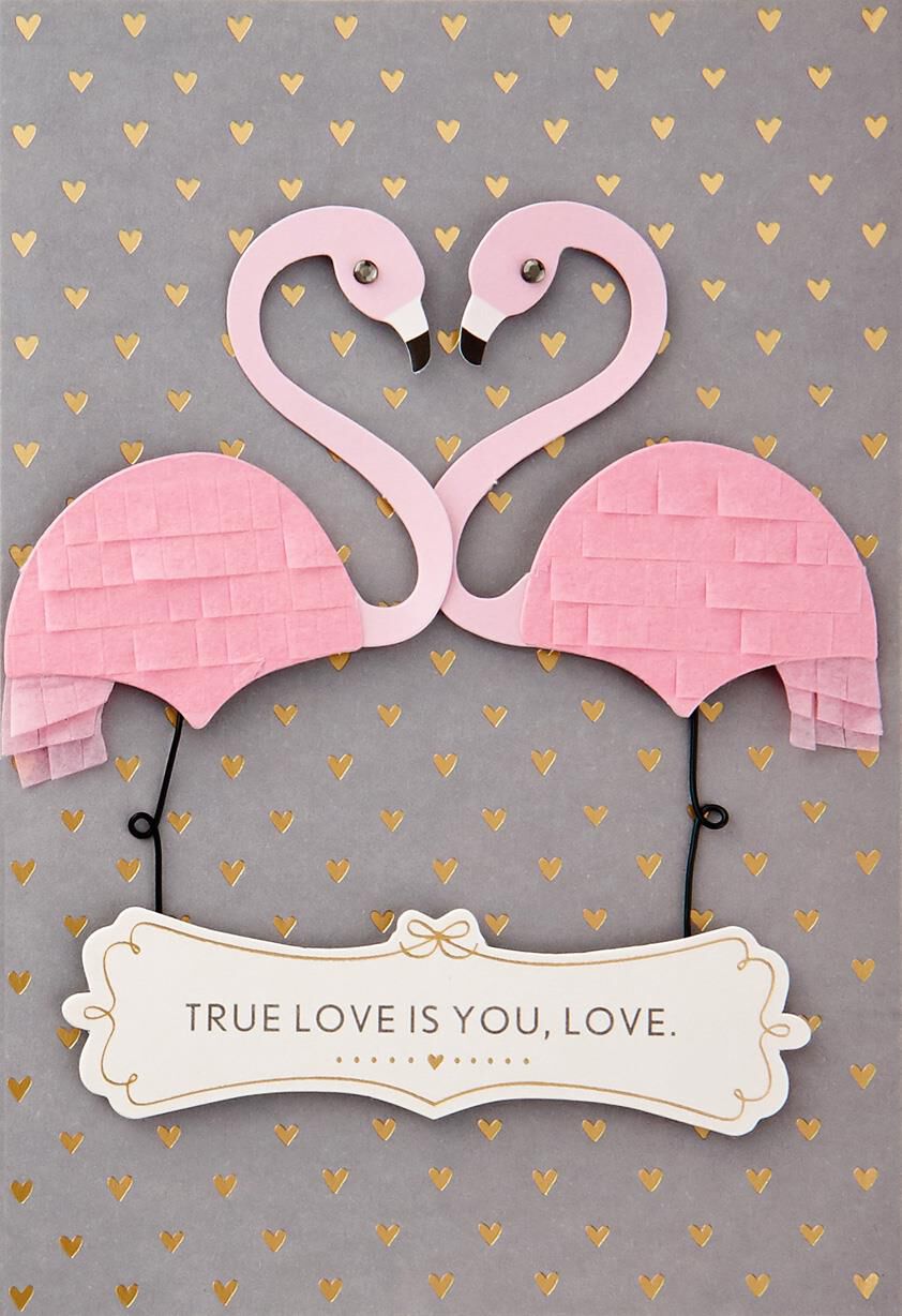 True Love Flamingos Love Card