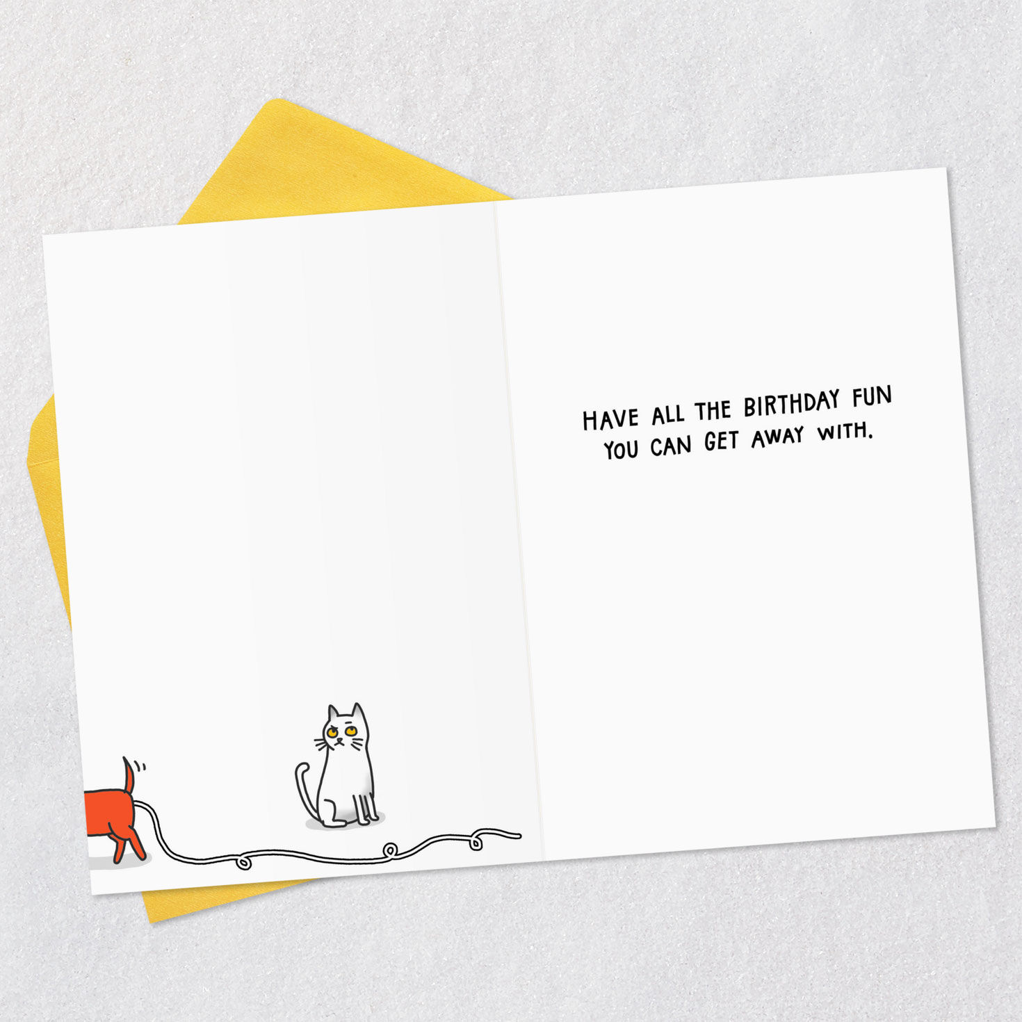 Have All the Fun You Can Funny Birthday Card for only USD 3.99 | Hallmark