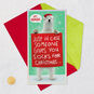 Santa Polar Bear Christmas Money Card for Nephew Card Front with Envelope and Gold Seal image number 6