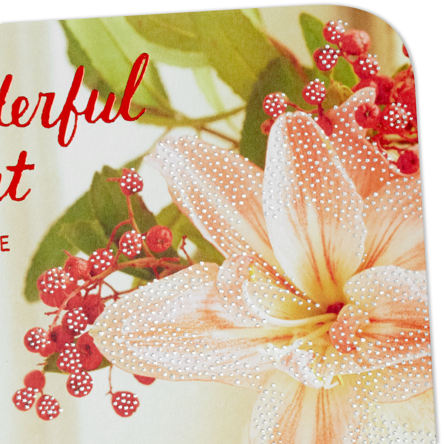 Thankful for an Aunt as Wonderful as You Christmas Card for only USD 4.59 | Hallmark